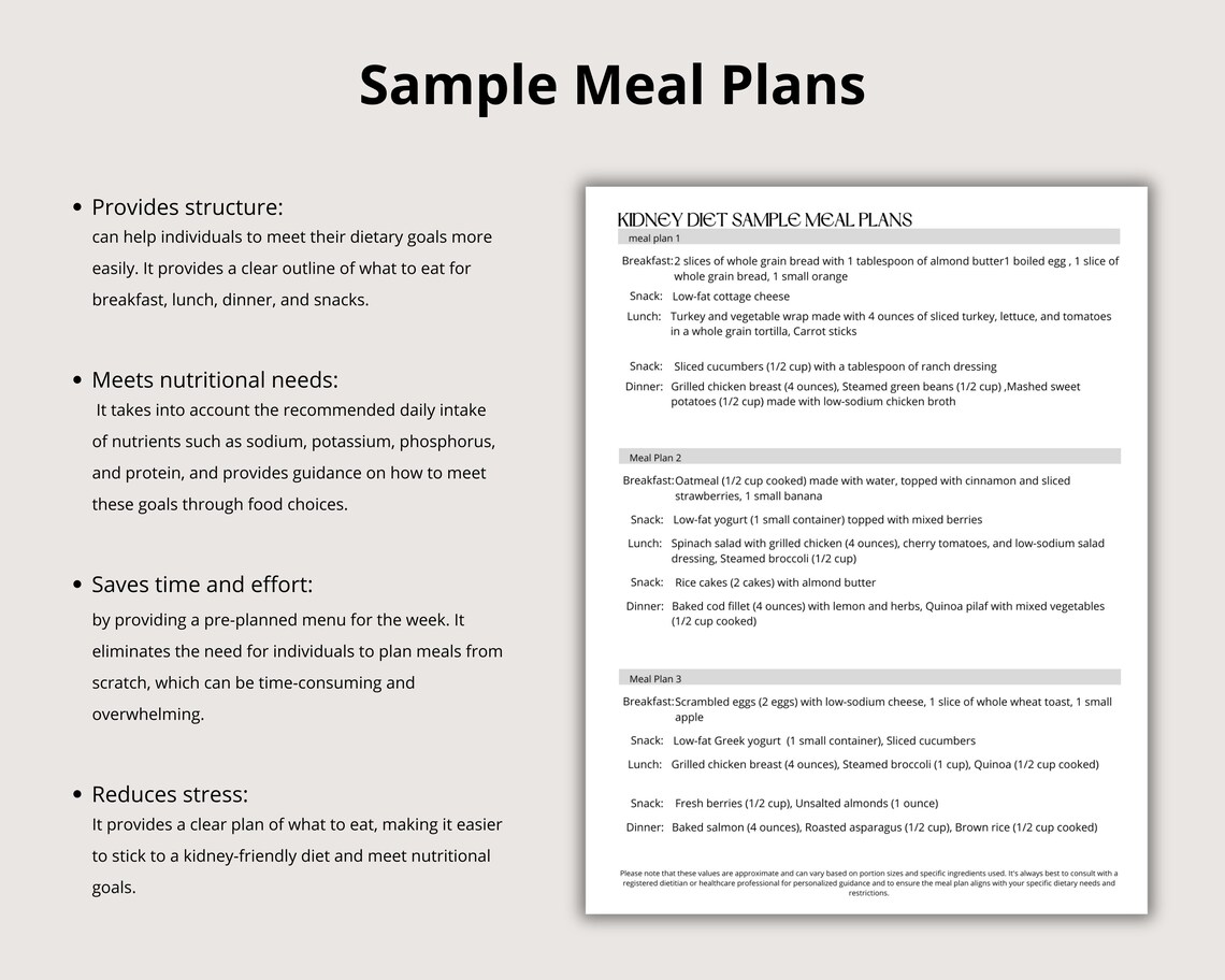 Kidney Diet and Grocery List Printable PDF Kidney Disease - Etsy