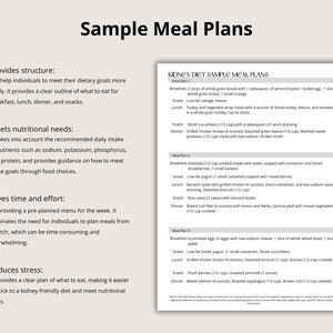 Kidney Diet and Grocery List Printable PDF Kidney Disease - Etsy