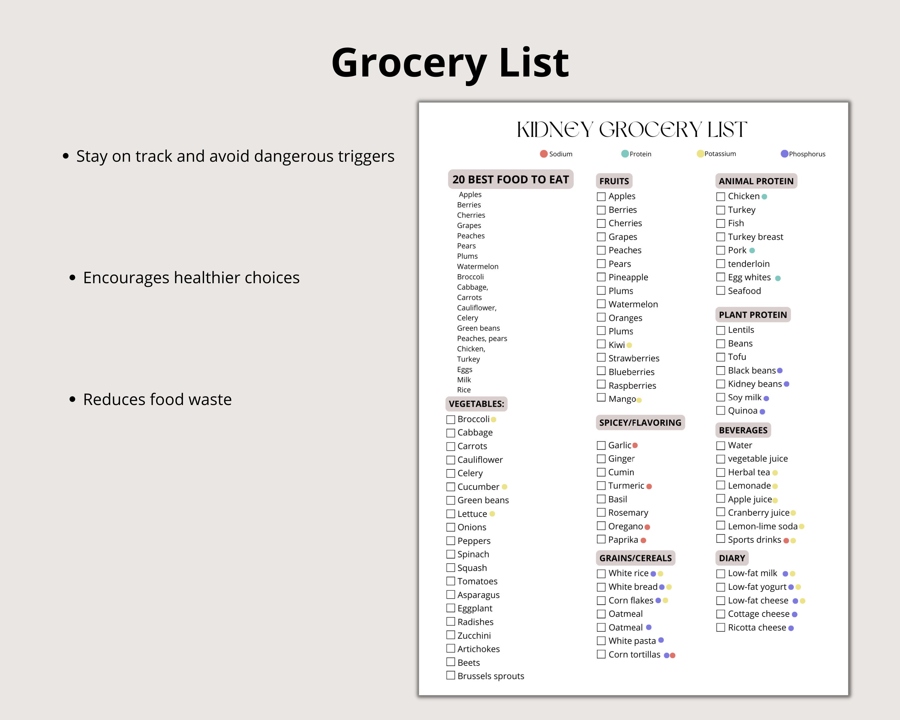 Kidney Diet and Grocery List Printable PDF Kidney Disease Etsy Canada
