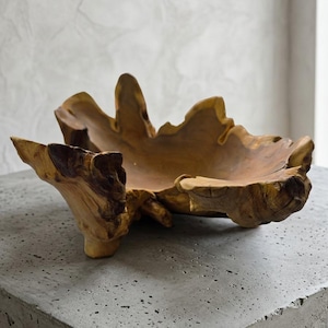 Könnte beinhalten: Eine braune Holzschale aus einer Baumwurzel mit unregelmäßiger, organischer Form, einer glatten, ausgehöhlten Mitte und strukturierten, gezackten Rändern, die den ursprünglichen Konturen der Holzmaserung und Rinde folgen.
