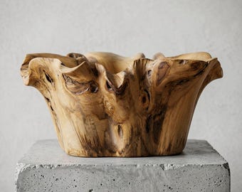 Ciotola in radice di teak intagliata a mano / Fruttiera con bordo naturale, decorazione scultorea organica (51x40x26 cm)
