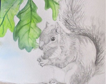 Original graphite pencil and watercolor squirrel wall art for kids' room, gift decor for living room, office, bedroom; gift for animal lover