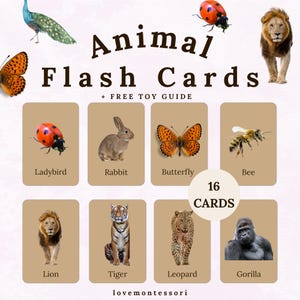 Animals Flashcards for Toddlers – 16 Printable Vocabulary Cards – Preschool Learning – Digital Download – Educational Activity + FREE Guide!