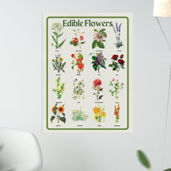 Edible Flower Poster Digital Download Botanical Illustration Print Ethnobotany Herbalism Cottagecore Decor Hedge witch Witchcraft