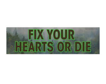 Pegatina para parachoques Fix Your Hearts or Die, calcomanía de vinilo con los derechos de las personas transgénero, orgullo LGBT, bandera transgénero, liberación política, decoración para botellas de agua de vehículos