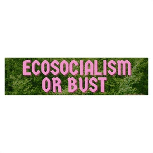Ecosocialism or Bust Bumper Stickers Political Vinyl Car Decal Anti-Capitalism Anti-Imperialism Environmentalism Leftist
