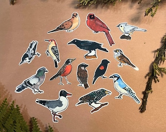 Backyard Bird Stickers Set of 14 Individual Stickers