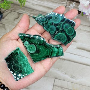 May include: Three polished malachite stone slices, showcasing a vibrant green color with intricate patterns of concentric circles and bands. The natural stone pieces are held in a hand, highlighting their unique textures and mineral formations. These are ideal for collectors or for use in jewelry.