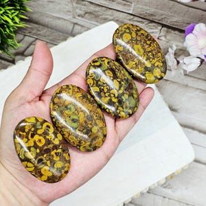 Ajooba Jasper Palm Stone / 2.3" / Chakra / Rocks and Minerals - Etsy