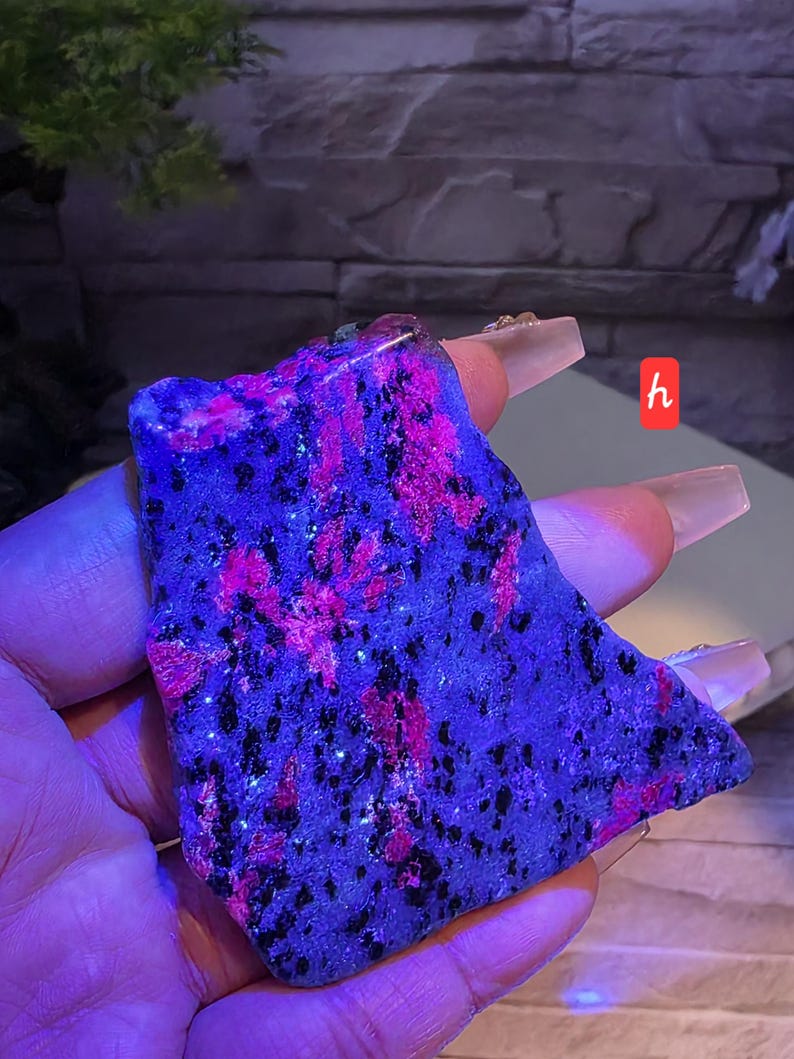 Op de afbeelding: Een ruw, plat mineraalexemplaar met een levendig, fluorescerend roze en diep blauw-paars kleurenpalet met verspreide zwarte insluitingen. Het oppervlak heeft een kristallijn, getextureerd uiterlijk onder ultraviolet licht, gemarkeerd met een klein rood label.