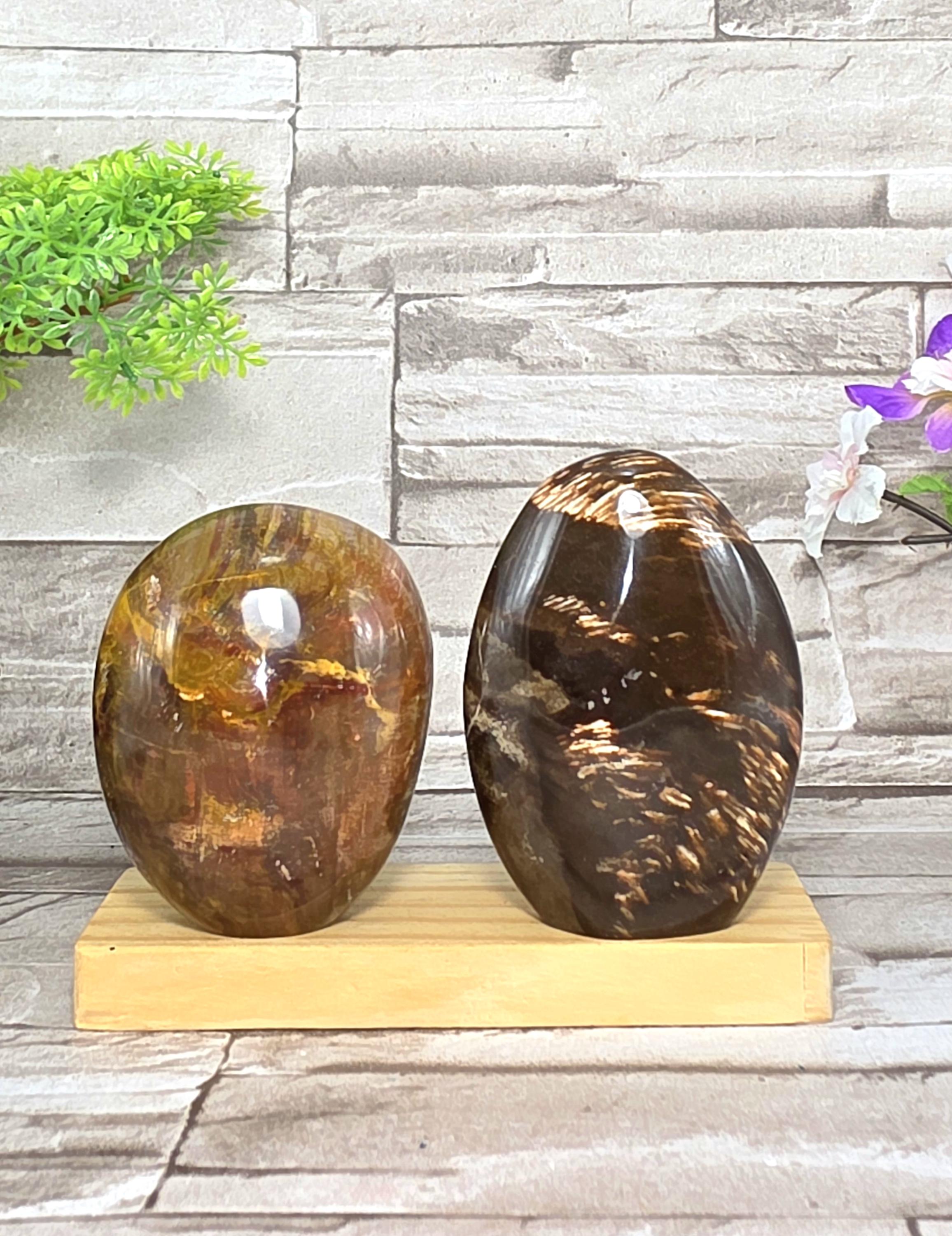 Wood Poit Rocks Petrified Wood Freeform / Agatised Wood / Home Decor / Chakra / Rocks ...