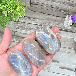 Blue Moonstone Palm Stone / 2.3" to 2.5" / Blue Flash / Chakra / Rocks and Minerals / st7