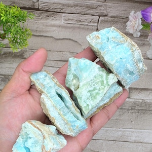 May include: A hand holding several pieces of raw larimar stone. The stones have a light blue color with some areas of green and brown. The rough texture of the stones is visible.