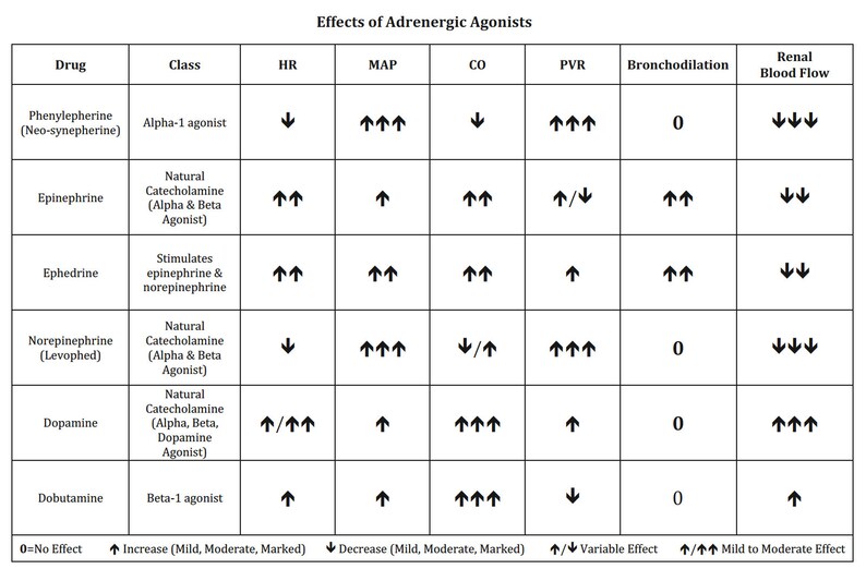 Anesthesia Drug Summary Table Study Guides for CRNA, SRNA, Anesthesiologist Including