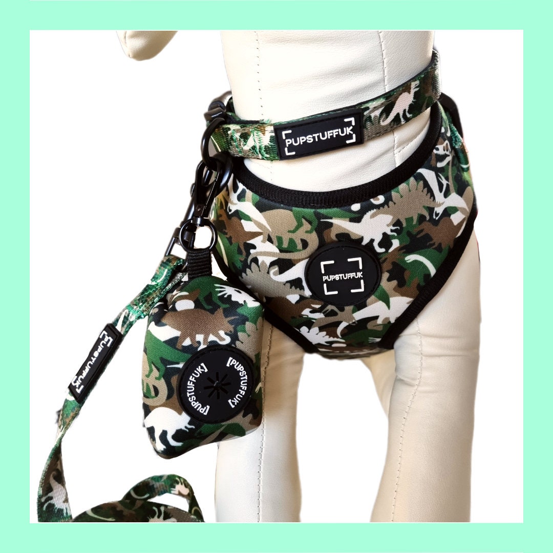 Dinosaur Roar Adjustable Dog Harness Camouflage Dinosaurs Etsy