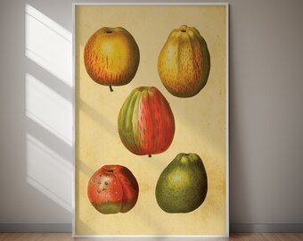 Vintage Fruit Poster Retro Kitchen Wall Art (Printable) DIGITAL DOWNLOAD Printable Vintage Wall Art