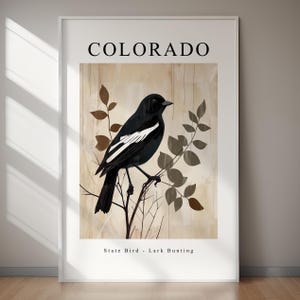 COLORADO State Bird Wall Art - Lark Bunting Print, Instant Download Home Decor, Original Paint Artwork, Artwork Decor, Bird Lover Gift