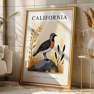 CALIFORNIA Bird Wall Art - California Quail, Instant Home Decor, DIGITAL DOWNLOAD, Printable Wall Art, High Resolution, Various Sizes