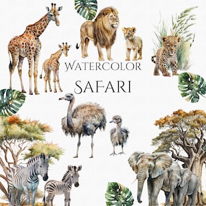 Lindo Safari animales acuarela Clipart PNG paquete selva Safari bebé ducha vivero arte decoración PNG descarga instantánea digital uso comercial