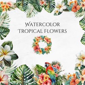 Pacote de clipart aquarela Tropical Verão Floral Tropical Elementos Flores Tropicais clipart Nursery Art PNG download digital uso comercial