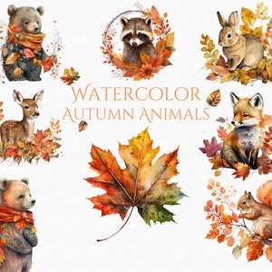 Automne Woodland aquarelle Animal Clipart PNG automne Floral Clipart pour fond d’écran sur le thème de l’automne mignon forêt Animal Clipart téléchargement numérique