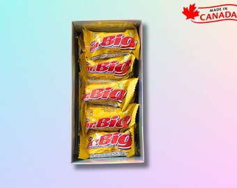 Mini boîte-cadeau de barres de chocolat MR BIG : panier-cadeau canadien personnalisé, lot de 10 bonbons au chocolat - par Oh Canada Candy