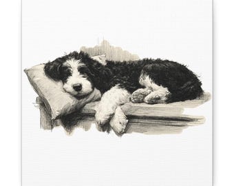 May include: Black and white illustration of a dog resting on a pillow. The dog is lying down with its head on a pillow and its paws extended. The artwork is a sketch-style drawing.