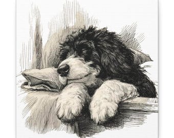 May include: Black and white illustration of a sleeping dog resting its head on a pillow. The dog's paws are visible, and the artwork has a vintage, sketched style. The dog's fur is black and white, and the pillow is a light beige color.