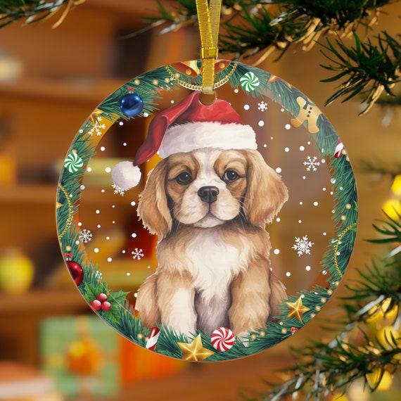 Cavalier King Charles Spaniel Pants - Tri Holiday Cavalier King Charles Spaniel Pants - Tri Holiday