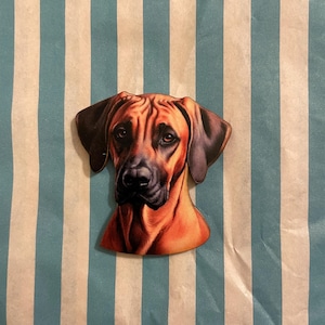 Rhodesian Ridgeback-broche.