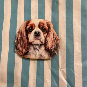 Könnte beinhalten: Ein Holzausschnitt in Form eines Cavalier King Charles Spaniel-Hundes. Der Hund hat braunes und weißes Fell, lange, wellige Ohren und einen konzentrierten Ausdruck. Der Ausschnitt befindet sich auf einem blau-weiß gestreiften Hintergrund.