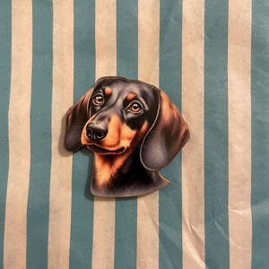 Könnte beinhalten: Illustration eines Dackelhundes mit schwarzem und braunem Fell und einem detaillierten Gesicht. Der Hund ist vor einem Hintergrund aus vertikalen weißen und türkisfarbenen Streifen platziert.