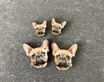 Franse Bulldog-oorbellen. Oorstekers voor honden.