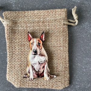 Könnte beinhalten: Ein brauner und weißer Bullterrier sitzt in einem Jutesack. Der Hund hat eine weiße Brust und einen braunen Kopf mit schwarzen Augen.