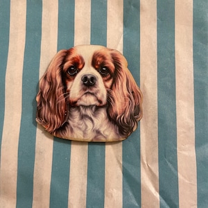König Charles Spaniel Brosche.