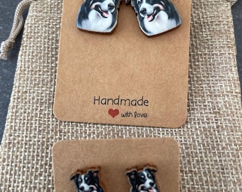 Border collie Earrings. Dog stud earrings.