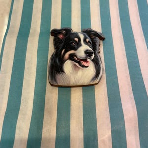 Könnte beinhalten: Ein Holzmagnet in Form eines Border Collie-Hundes. Der Magnet zeigt ein detailliertes, gemaltes Bild des Gesichts des Hundes mit schwarzem, weißem und hellbraunem Fell. Der Hund lächelt, seine Zunge ist sichtbar.