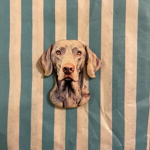 Könnte beinhalten: Holzausschnitt in Form eines Weimaraner-Hundekopfes mit einer detaillierten Illustration des Gesichts des Hundes. Der Hund hat graues Fell, eine rosa Nase und braune Augen. Der Ausschnitt befindet sich auf einem blau-weiß gestreiften Hintergrund.