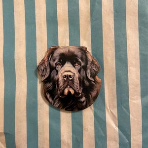 Könnte beinhalten: Ein runder Auto-Untersetzer mit einer detaillierten Illustration des Gesichts eines Neufundländers. Der Hund hat dunkelbraunes Fell, eine schwarze Nase und braune Augen. Der Untersetzer befindet sich vor einem gestreiften Hintergrund.