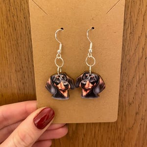 May include: Dangle earrings with a dachshund dog design. The earrings have silver-coloured hooks and are attached to a brown cardboard backing. The dachshunds are black and brown with detailed facial features.