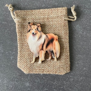 Könnte beinhalten: Ein Holzausschnitt eines braunen und weißen Collie-Hundes in einem Jutesack mit Kordelzug.