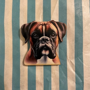 Könnte beinhalten: Eine Nahaufnahme des Gesichts eines braunen und weißen Boxerhundes. Der Hund hat einen ernsten Ausdruck und schaut direkt in die Kamera.