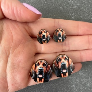 Blood Hound Earrings. Dog stud earrings.
