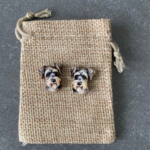 Schnauzer Earrings. Dog stud earrings.