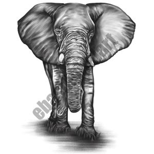 Elephant Brush Drawing: Charcoal Portrait Wall Art (Digital Download, 70x100cm)