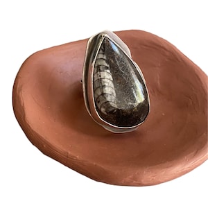 Handmade Sterling Silver Ammonite (Squid Fossil) Protector Ring