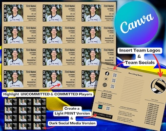 20 Player Volleyball Team Roster | Travel Team & Club Must Have ...