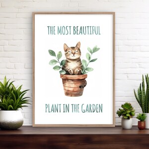 May include: A watercolor illustration of a cat sitting in a brown pot with green plants. The text "The most beautiful plant in the garden" is written below the cat.