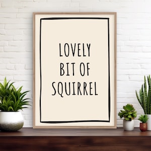 May include: A framed print with a beige background and black text that reads "LOVELY BIT OF SQUIRREL". The print is on a shelf with two potted plants.
