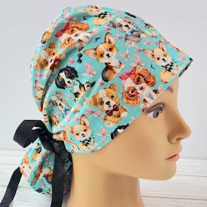 Chien de casquette de gommage de queue de cheval européen, queue de cheval de casquette chirurgicale mignonne, chiots de casquette chirurgicale chihuahua, chiots de gommage, chien vétérinaire, cadeau technique vétérinaire